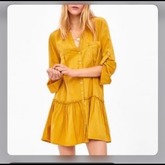 Zara Drop Waist Dress - Picture 5 of 7